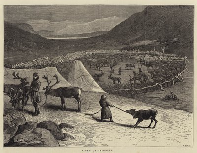 Un corral de renos de Samuel Edmund Waller